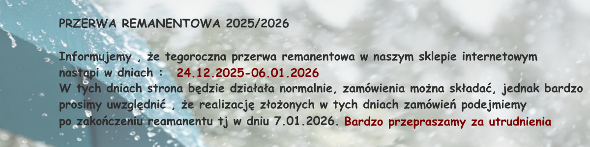 Remanent 2025